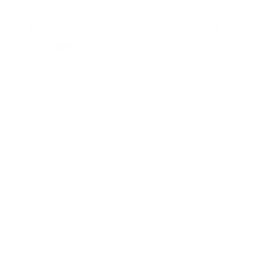 balance